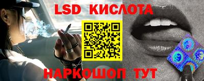 винт Камышлов