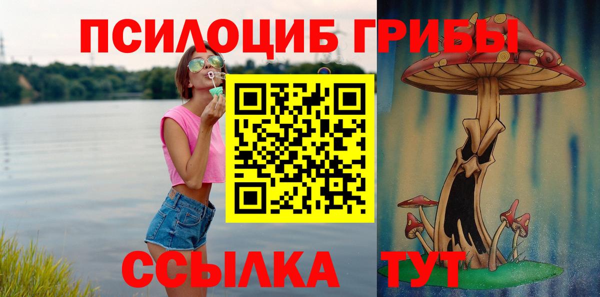 Галлюциногенные грибы мицелий  Вход с VPN  Псилоцибиновые грибы Cubensis  Котовск 